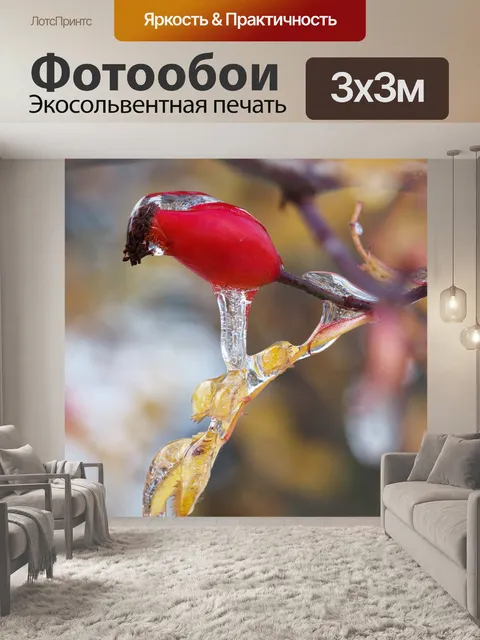 Фотообои сосульки на шиповник