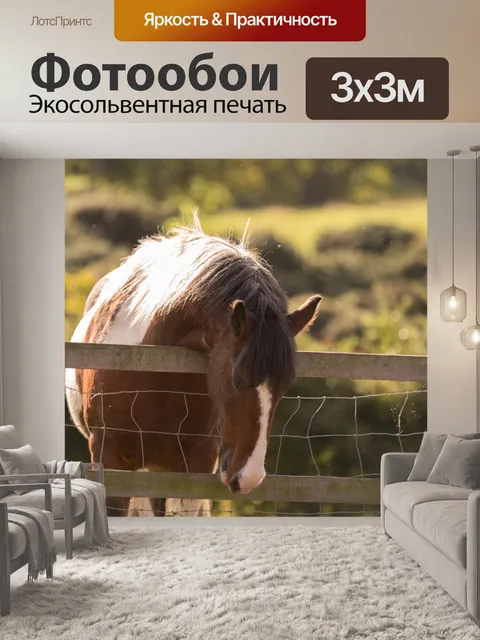 Фотообои лошадь