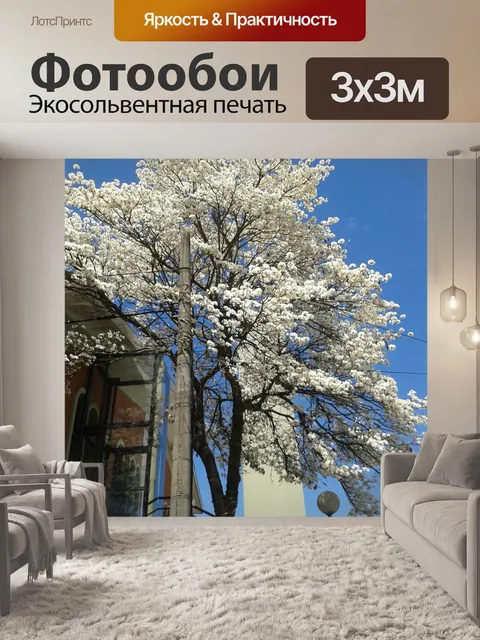 Фотообои Ipê