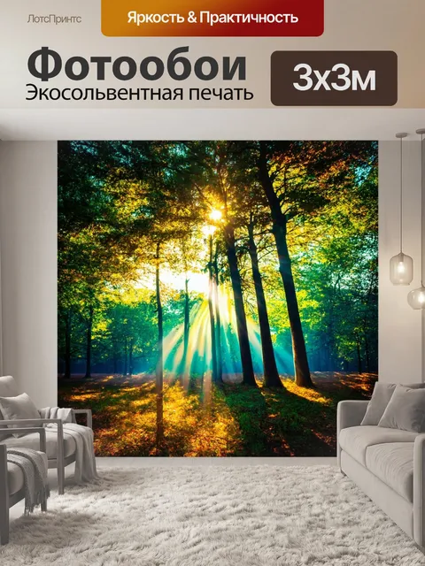 Фотообои градиент солнца, пробивающегося сквозь деревья