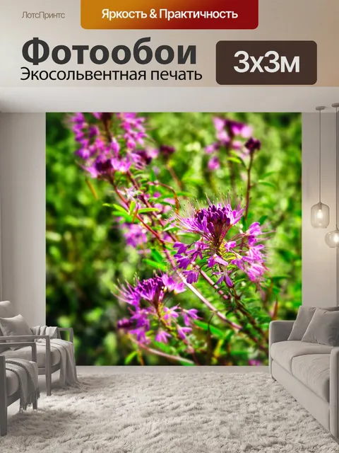 Фотообои Purple Mountain Flower