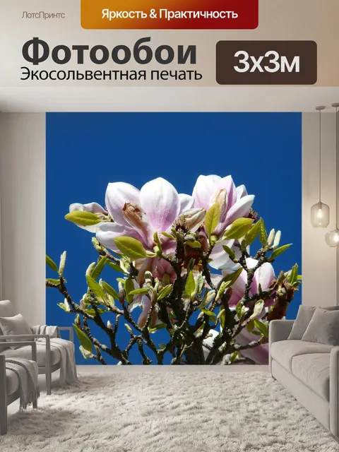 Фотообои Тюльпан магнолия