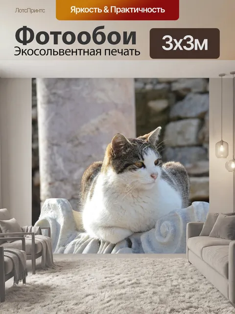 Фотообои Кошка