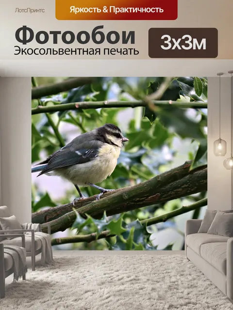 Фотообои Маленькая птица