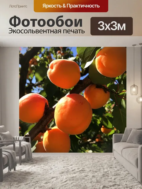 Фотообои Фрукты