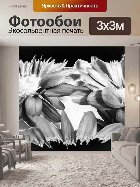 Фотообои маргаритка