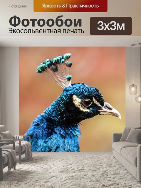 Фотообои Павлин