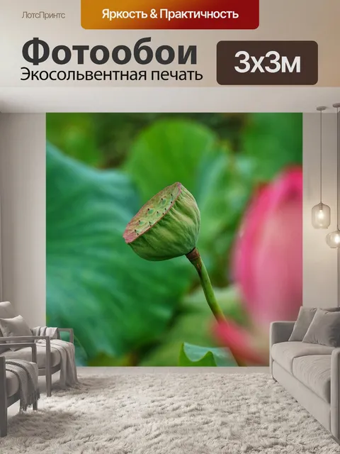 Фотообои Цветок