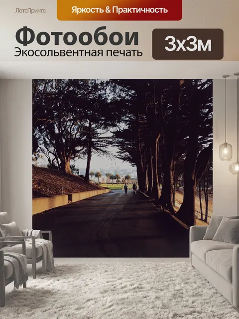 Фотообои Дорога