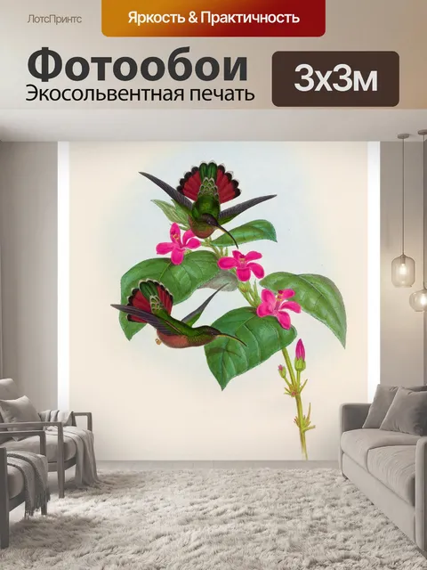 Фотообои Колибри птица винтаж старый