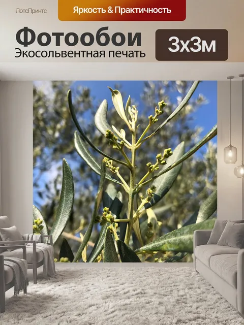 Фотообои Оливье