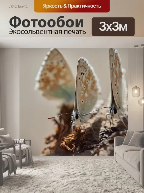 Фотообои Бабочки