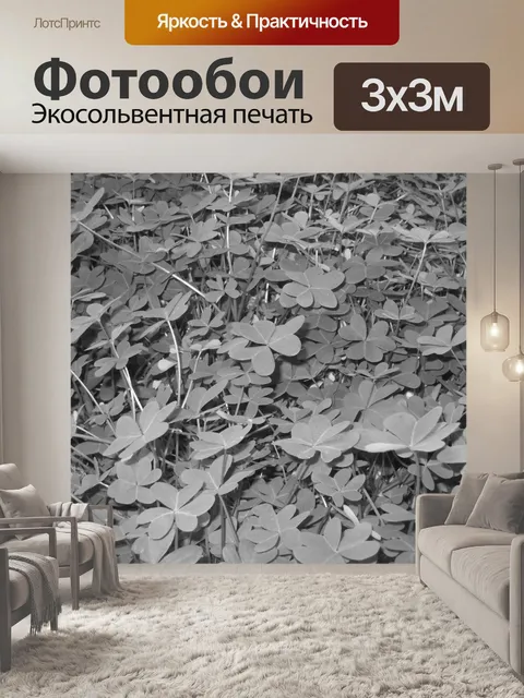 Фотообои Кислица Текстура II