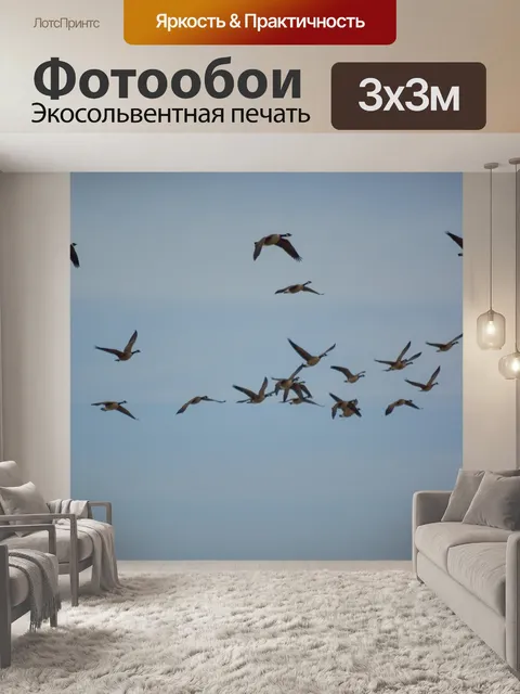 Фотообои Гуси в полете