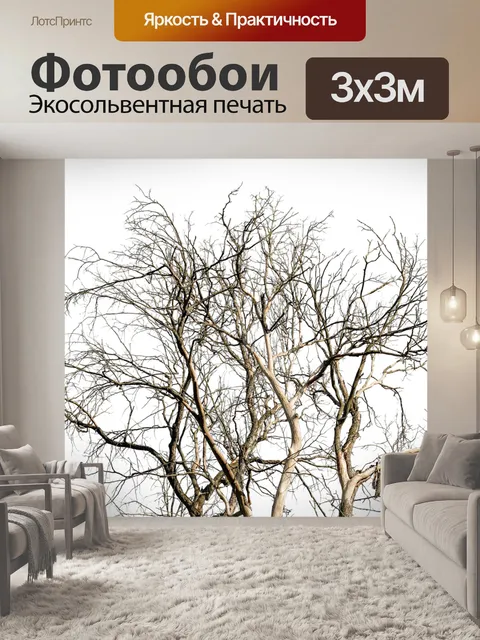Фотообои Ветви