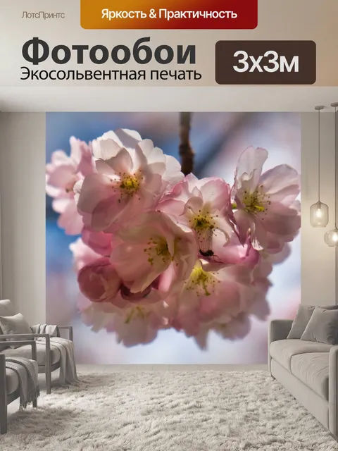 Фотообои Японская сакура