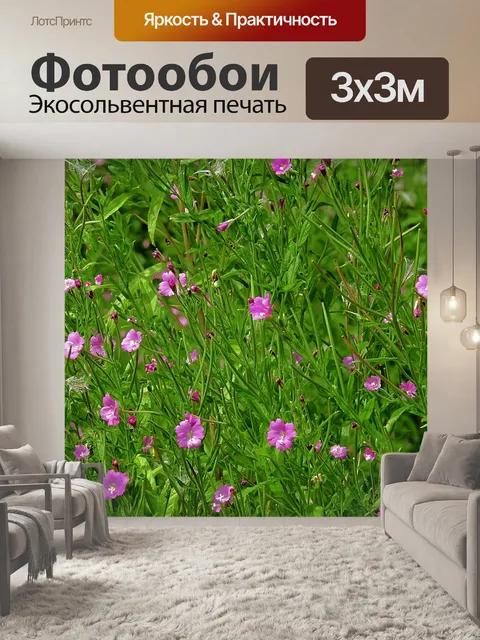 Фотообои Луг