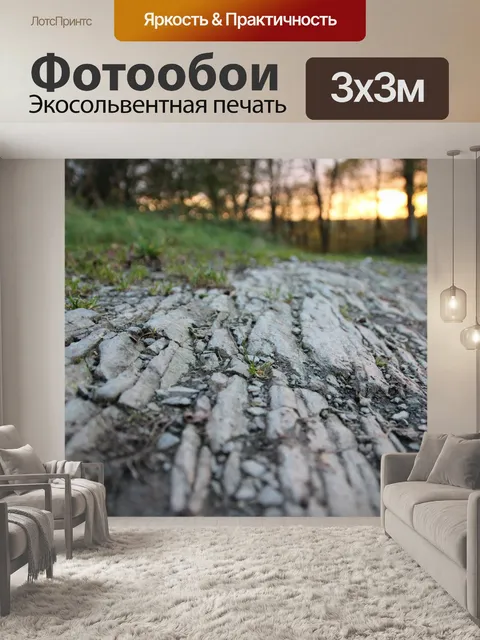Фотообои Дорожка