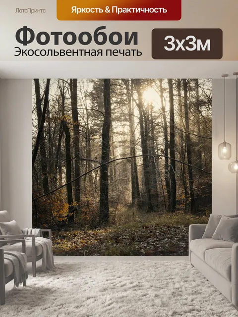 Фотообои Лес