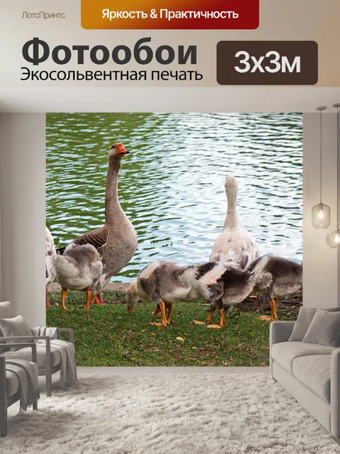 Фотообои Гуси