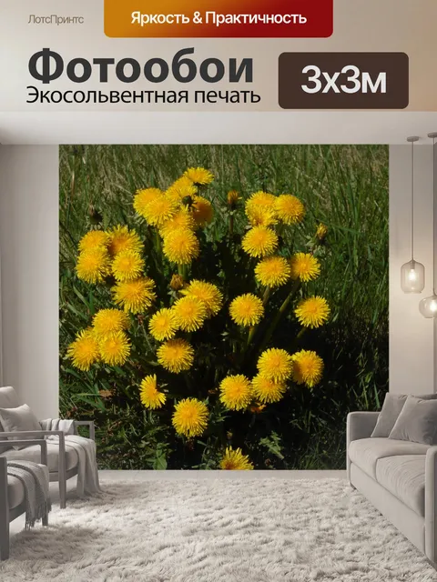 Фотообои Одуванчики весной