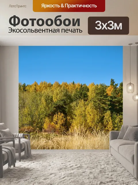 Фотообои Лес