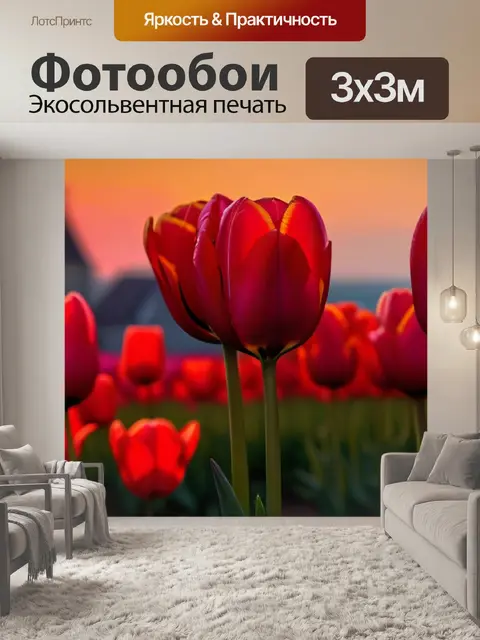 Фотообои яркие тюльпаны на фоне заката