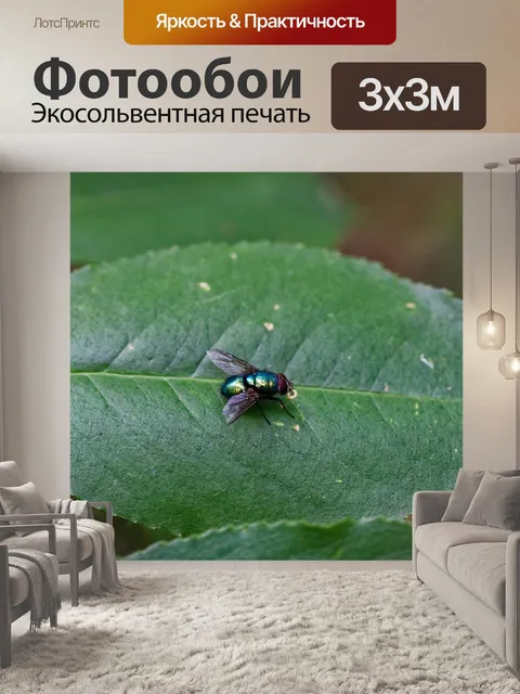 Фотообои Летать