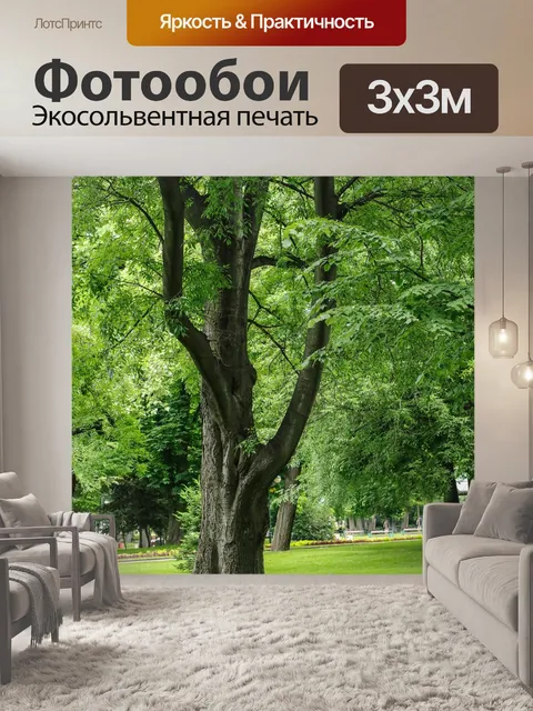 Фотообои Парк