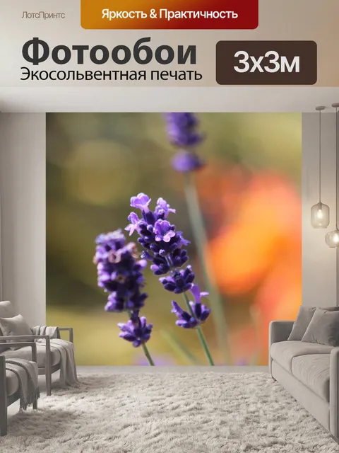 Фотообои Лаванда