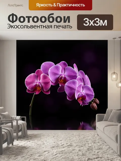 Фотообои Лиловые орхидеи на черном фоне