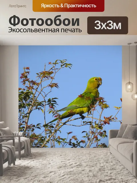 Фотообои Природа