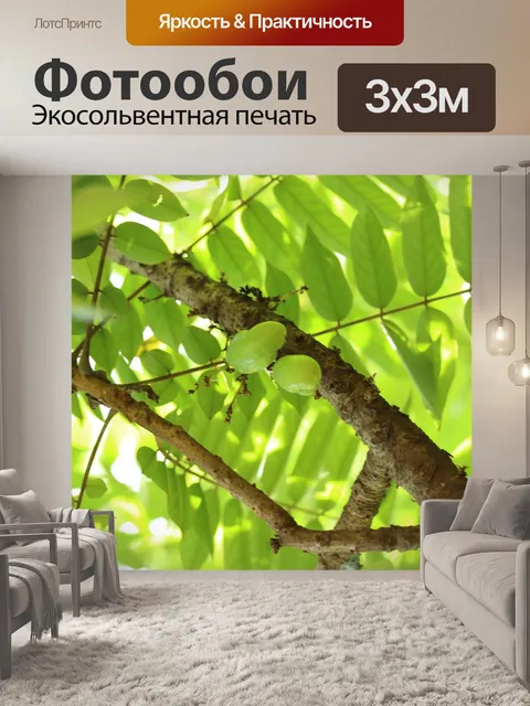Фотообои Фрукты