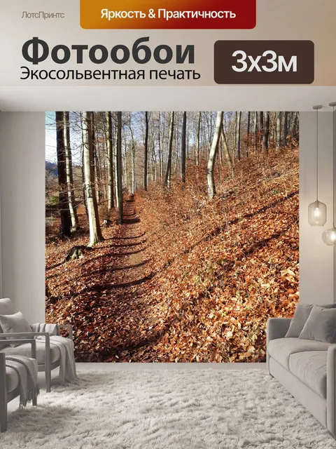 Фотообои Лес