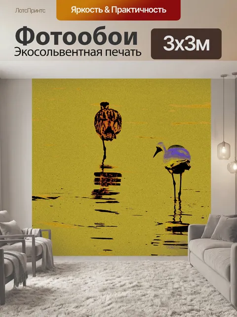 Фотообои Морские птицы
