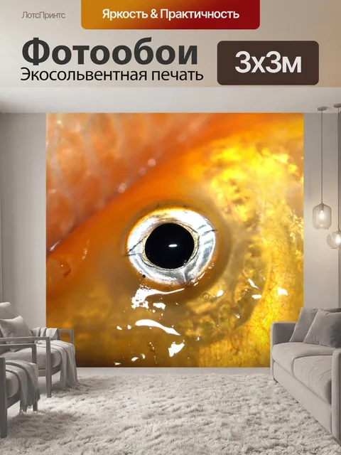 Фотообои Пресноводная рыба фото