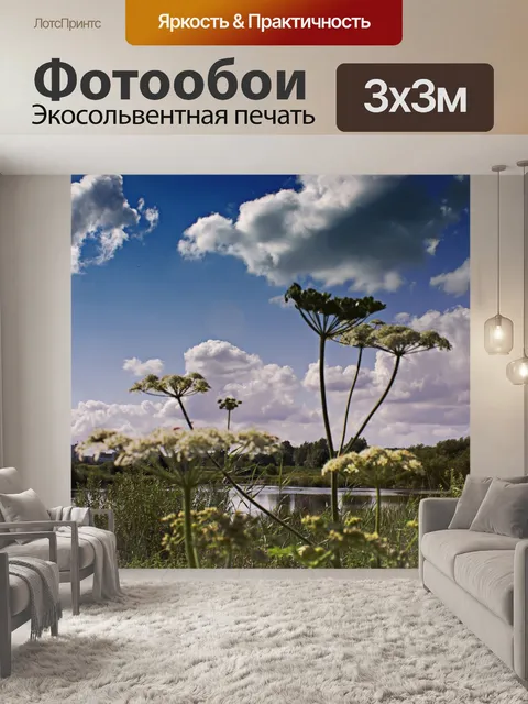 Фотообои Фон