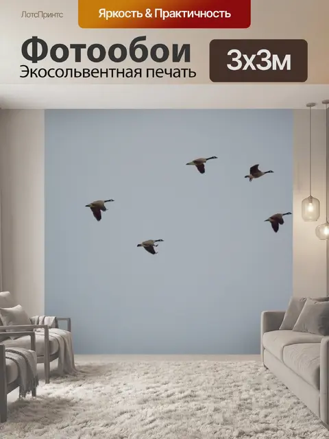 Фотообои Гуси в полете