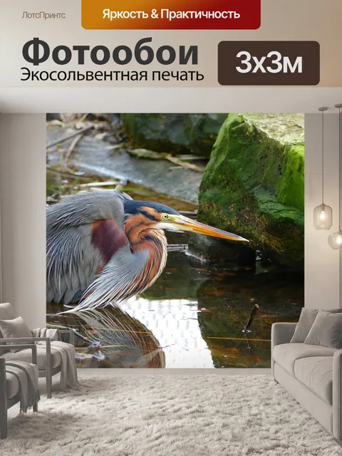 Фотообои Природа