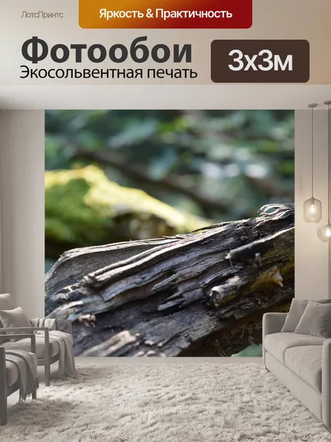 Фотообои Деревья