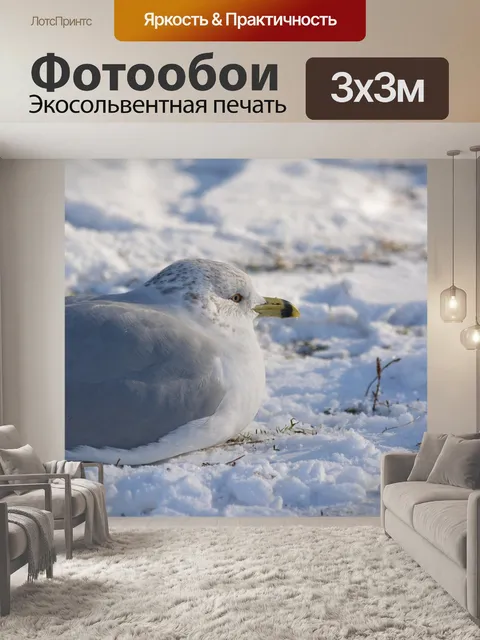 Фотообои Зима