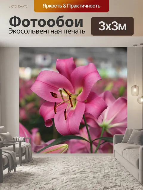 Фотообои Красивый
