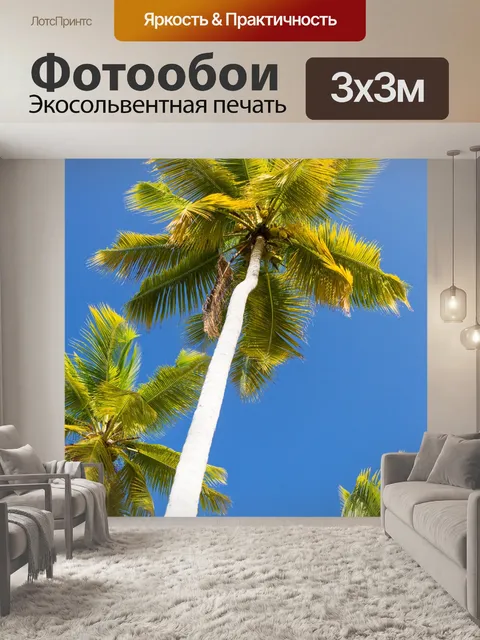 Фотообои Тропические пальмы