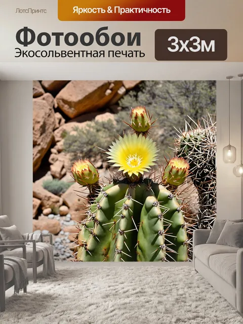 Фотообои кактус со множеством цветочных бутонов, раскрывающихся по мере их роста, на фоне каменистой местности