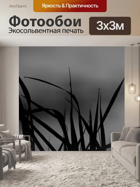 Фотообои Роса