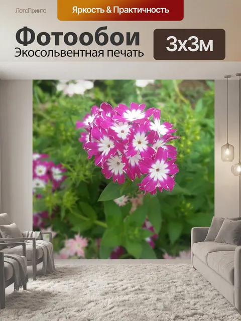 Фотообои Цветок