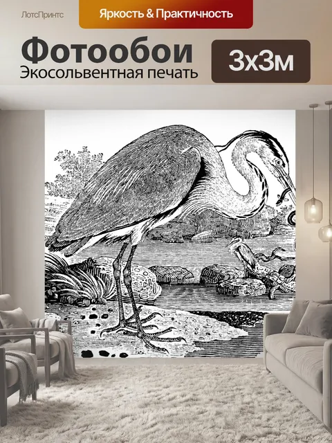 Фотообои Обыкновенная цапля