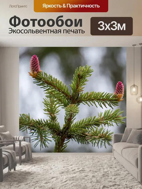 Фотообои Природа