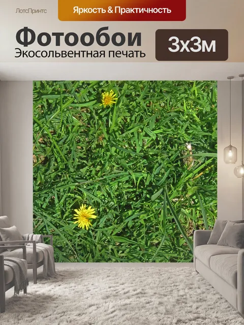 Фотообои Желтые цветы одуванчика на лужайке