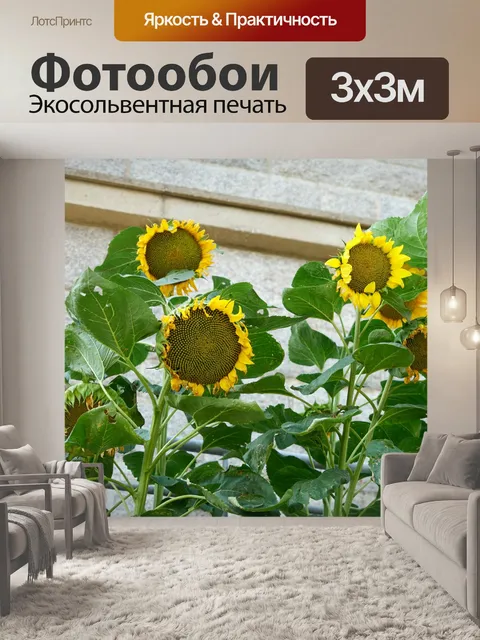 Фотообои Подсолнухи в саду
